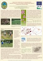 Large-scale eradication of non-indigenous Asclepias syriaca L. in the frame of LIFE Nature projects in Kiskinság National Park
