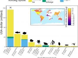 A vízi idegenhonos inváziós fajok globális gazdasági hatásai