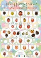 How many spot do they have? Get to know the most common ladybugs in Hungary!