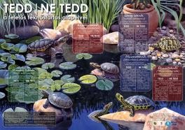 Tedd/Ne tedd - A felelős teknőstartás alapelvei